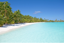 A pristine white sand beach with clear turquoise water and palm trees.